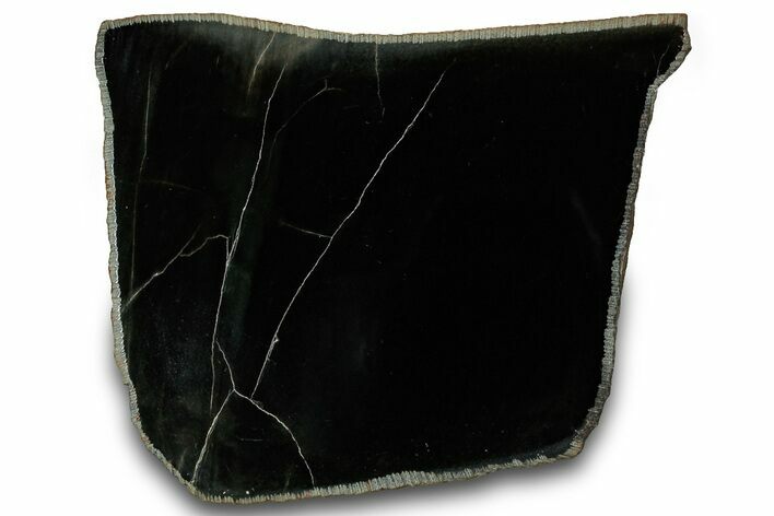 Polished Black Jade (Actinolite) Slab - Western Australia #314575